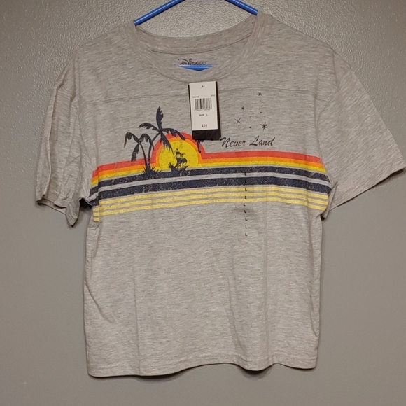 Disney Tops - Cropped tinker bell tshirt